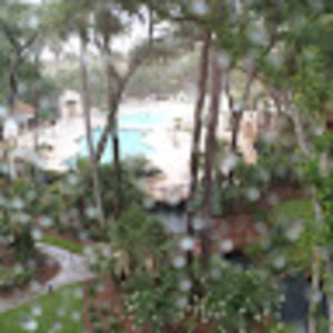 Meet your Posher, Jared